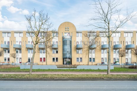 undefined main image