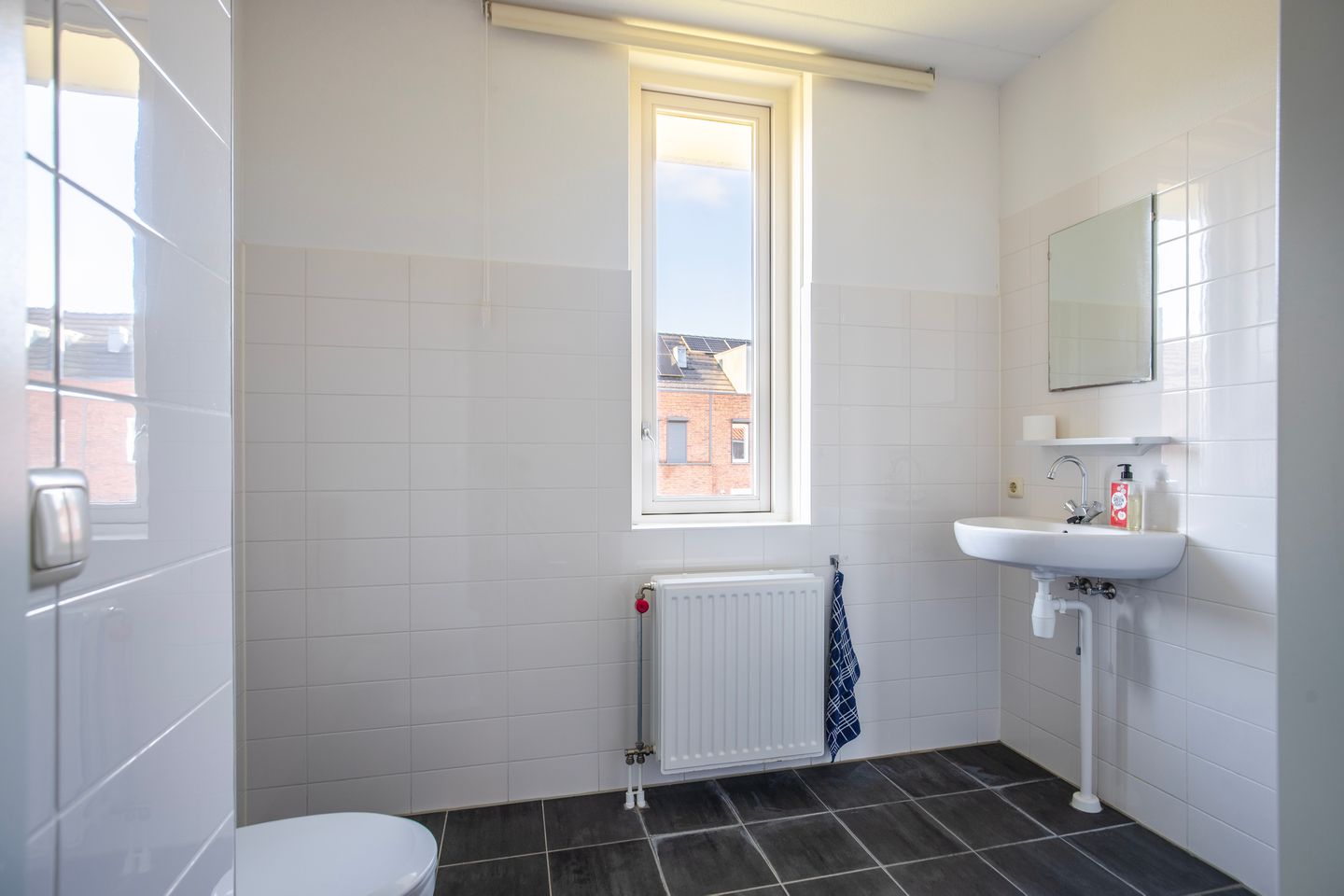 Foto 4 van Dianaplantsoen 20