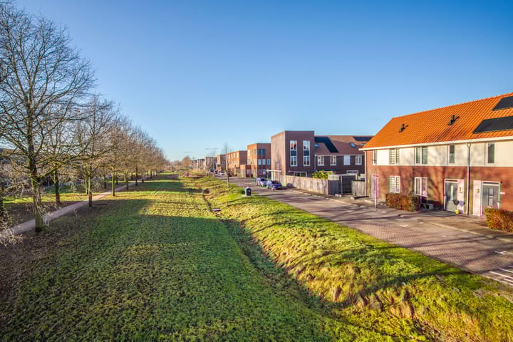 Foto 28 van Dianaplantsoen 20