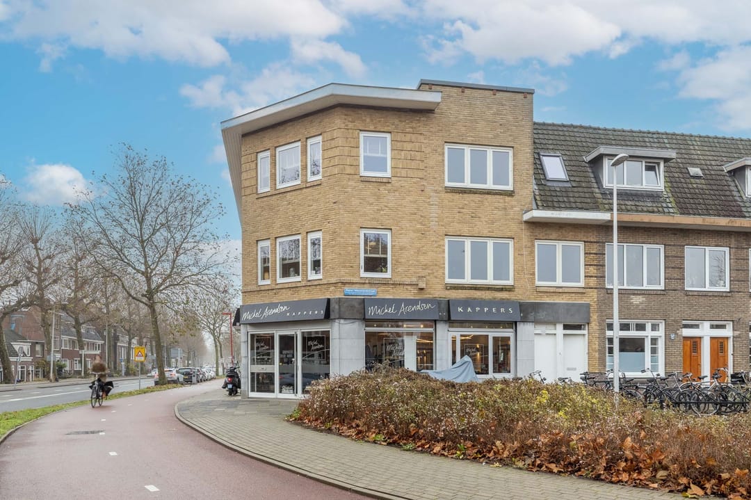 Foto 1 van Pieter Nieuwlandstraat 113