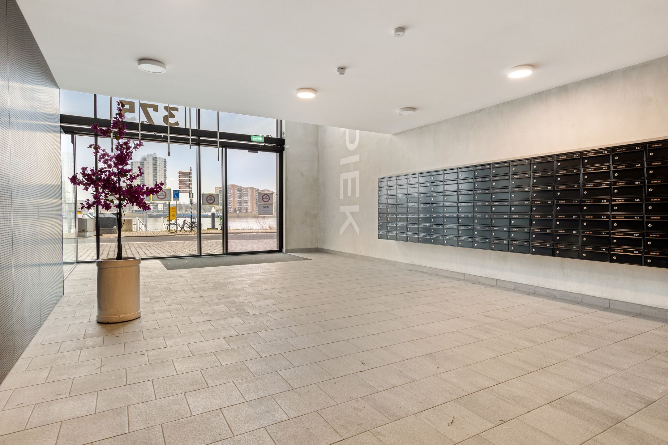 Foto 6 van Piekstraat 175