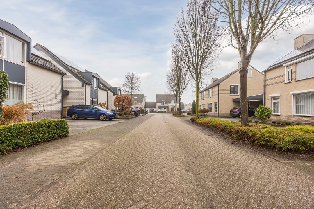 Foto 2 van Mosterdveld 7