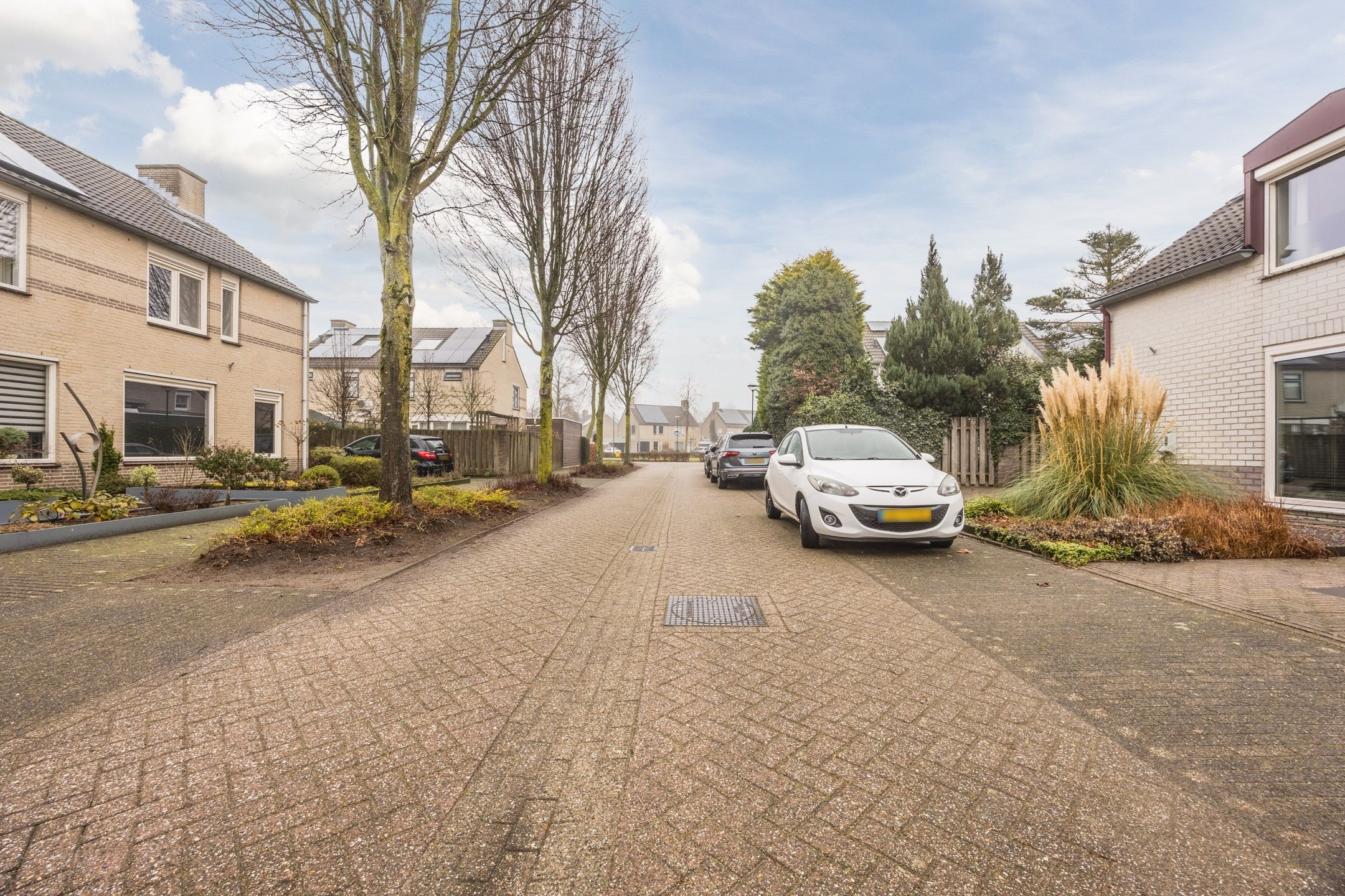 Foto 3 van Mosterdveld 7