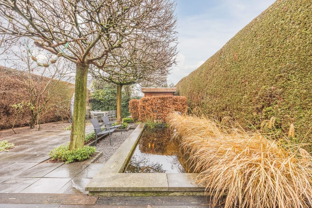 Foto 43 van Mosterdveld 7