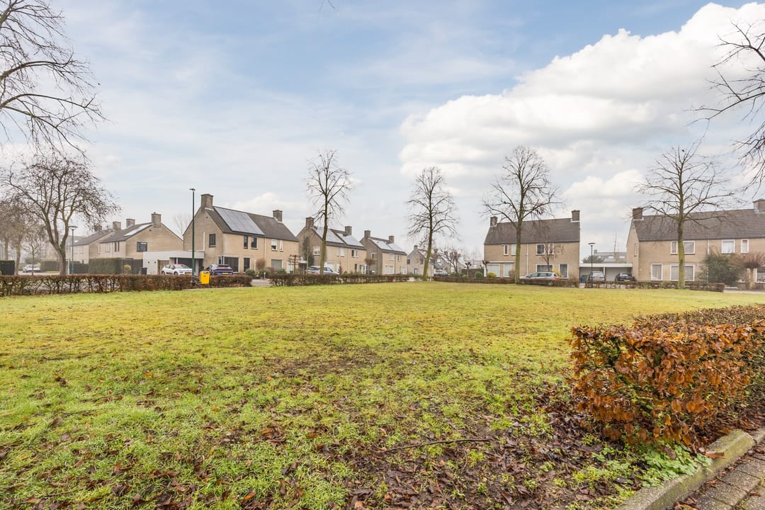 Foto 52 van Mosterdveld 7