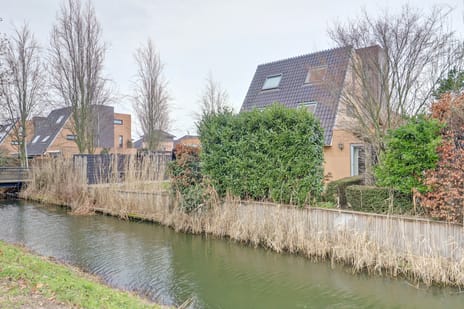 Akkerviool 21 secondary image