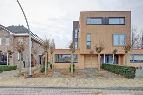 Akkerviool thumbnail