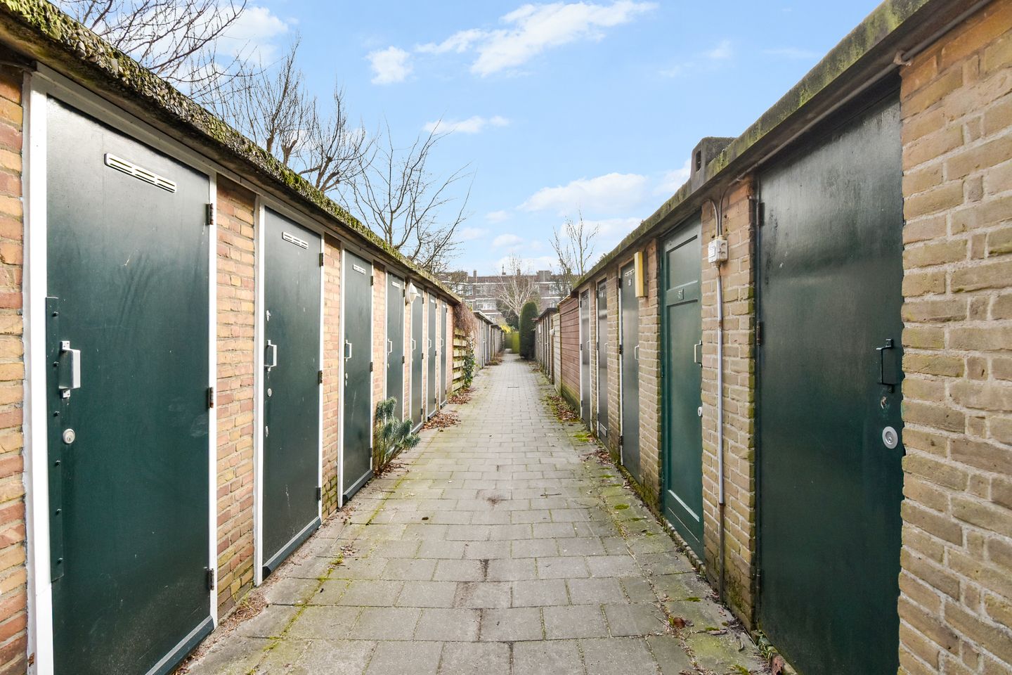 Foto 40 van Pinksterbloemplein 63