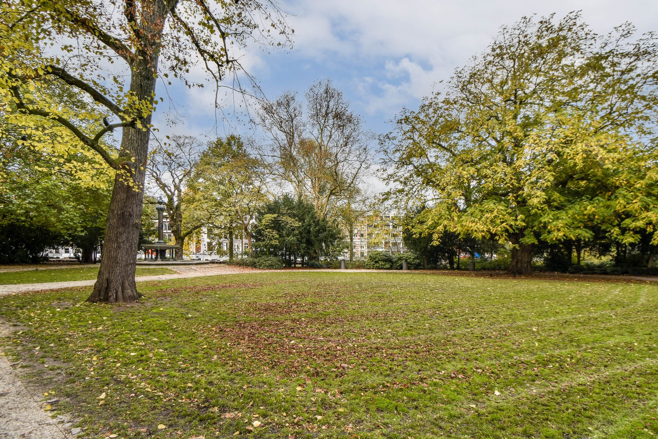 Photo 30 of Henri Polaklaan 5-H