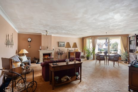 Jeneverbes 49 tertiary image