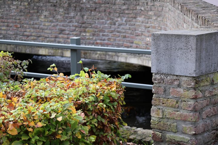 Foto 4 van Graaf de Geloeslaan 17