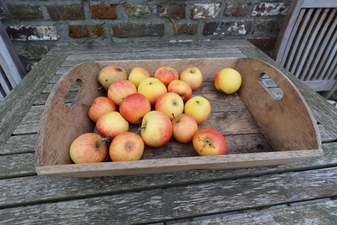 Foto 47 van Graaf de Geloeslaan 17