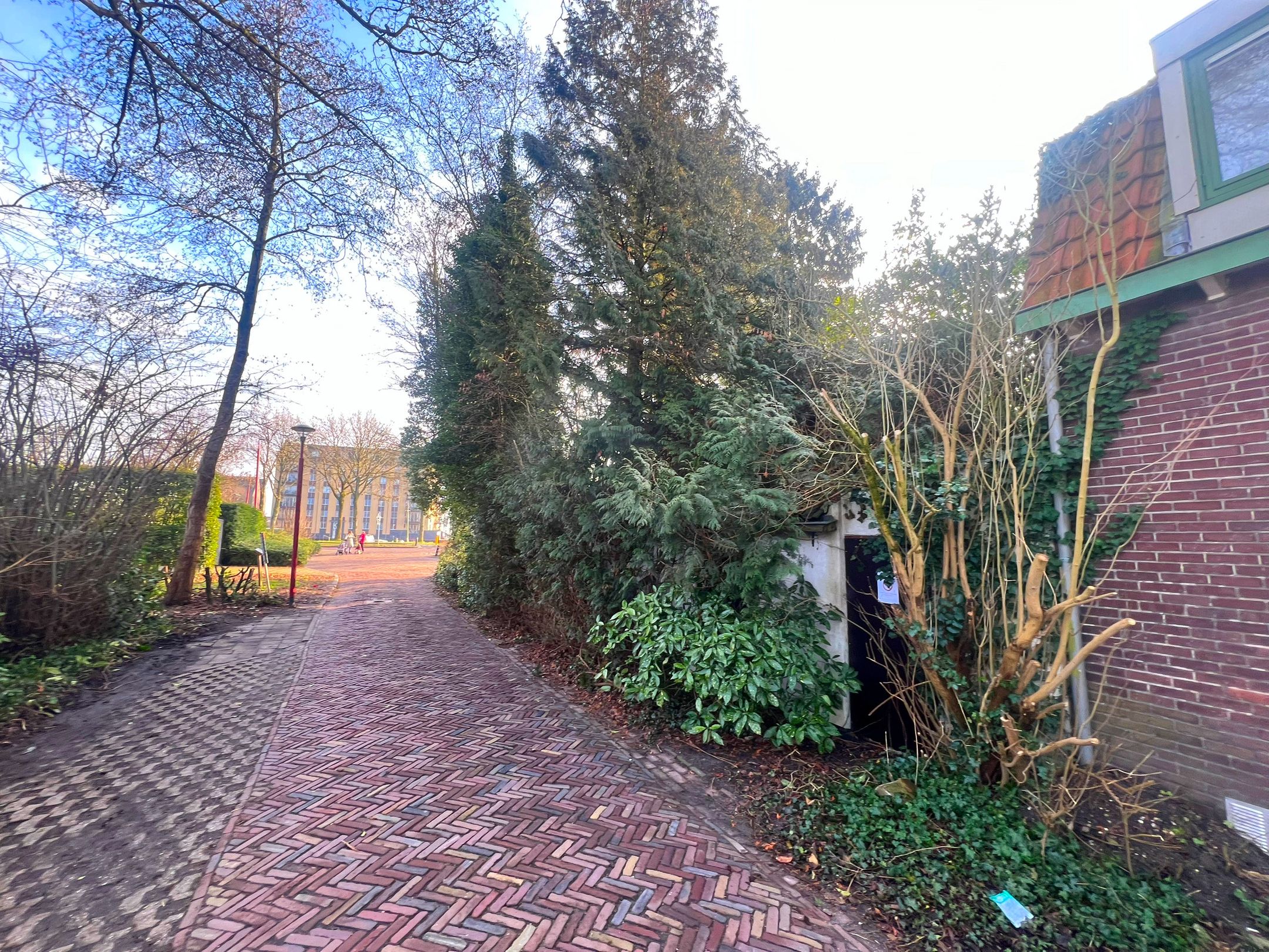 Foto 3 van Wiersdijk 1