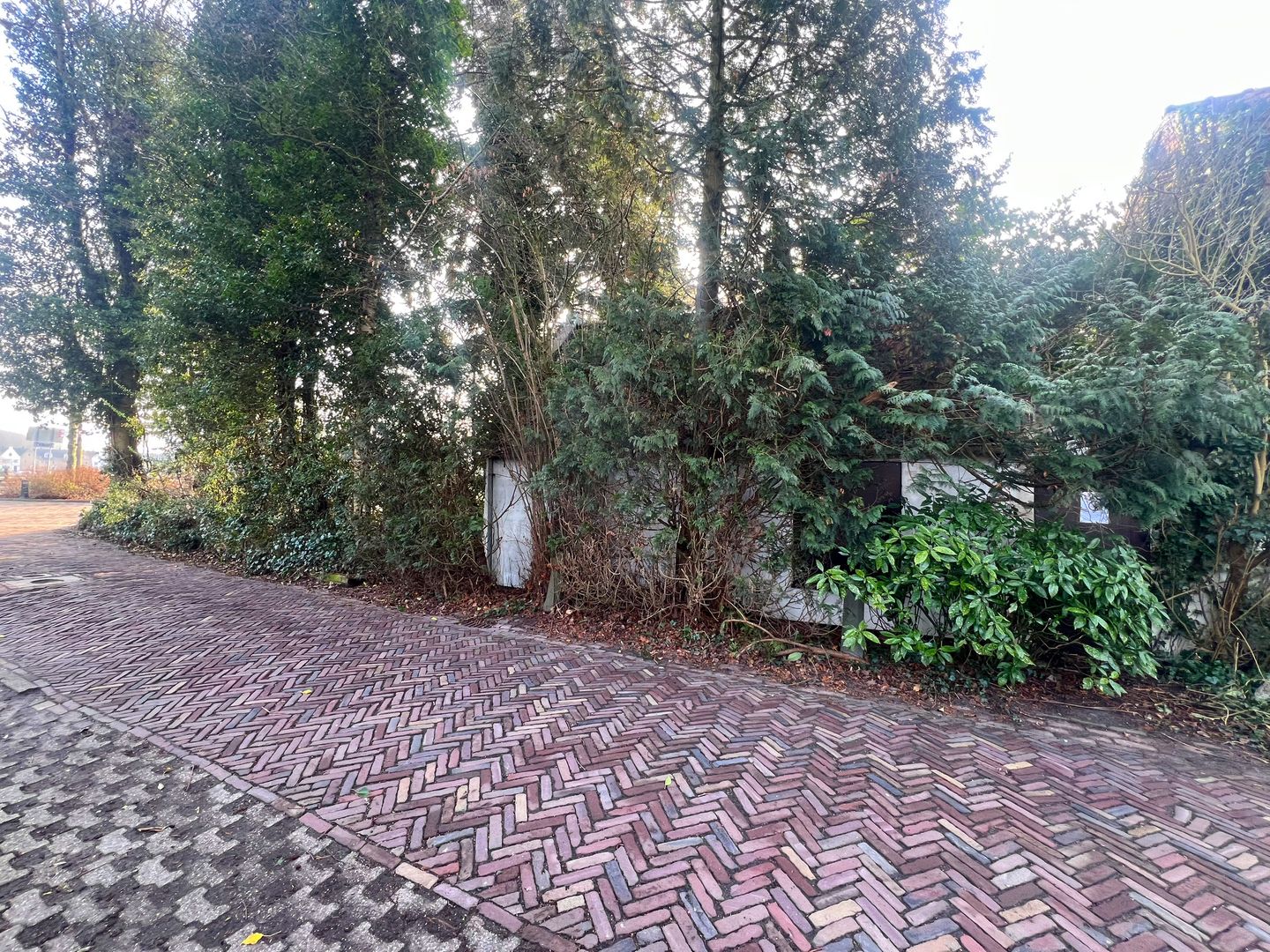 Foto 4 van Wiersdijk 1