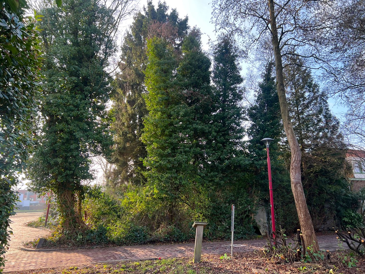 Foto 5 van Wiersdijk 1