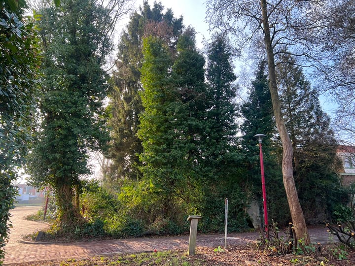 Foto 5 van Wiersdijk 1