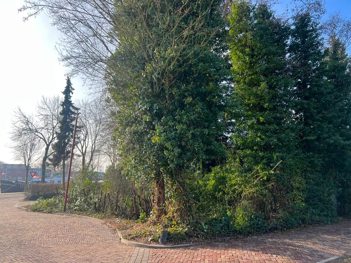 Foto 6 van Wiersdijk 1