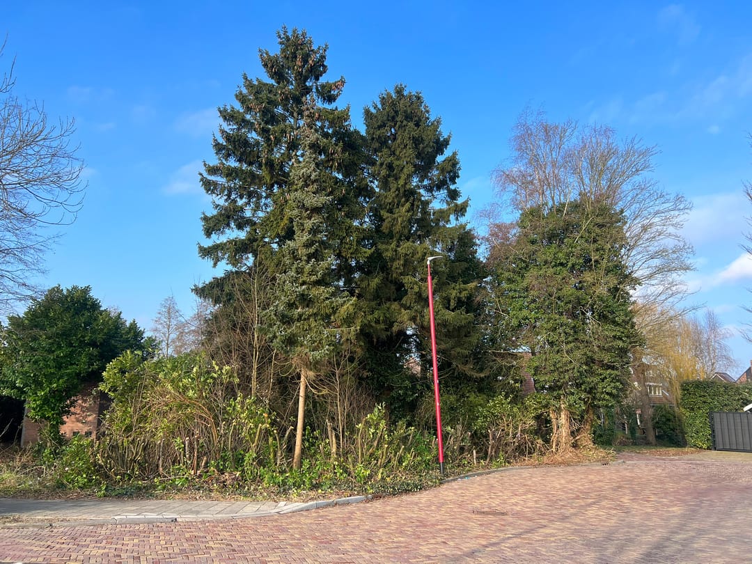 Foto 8 van Wiersdijk 1