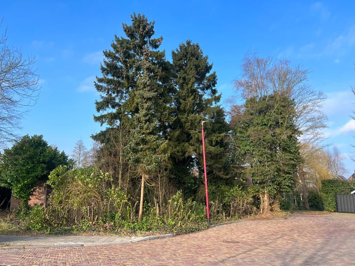 Foto 8 van Wiersdijk 1