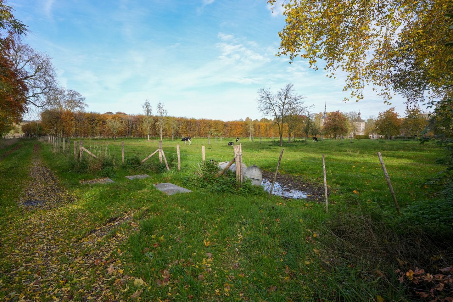 Foto 55 van Graaf de Geloeslaan 17