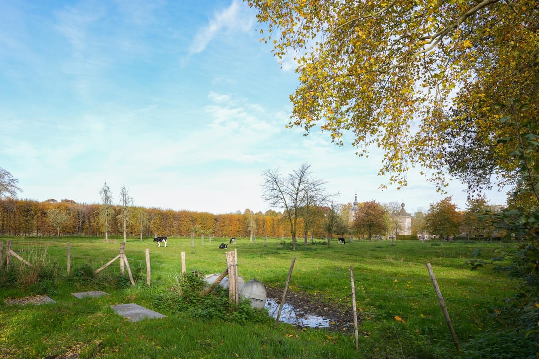 Foto 56 van Graaf de Geloeslaan 17