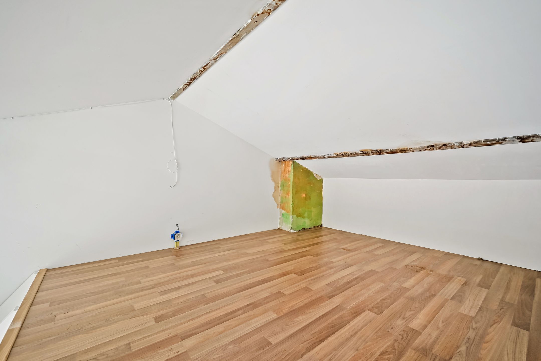 Foto 21 van Van Limburg Stirumstraat 149