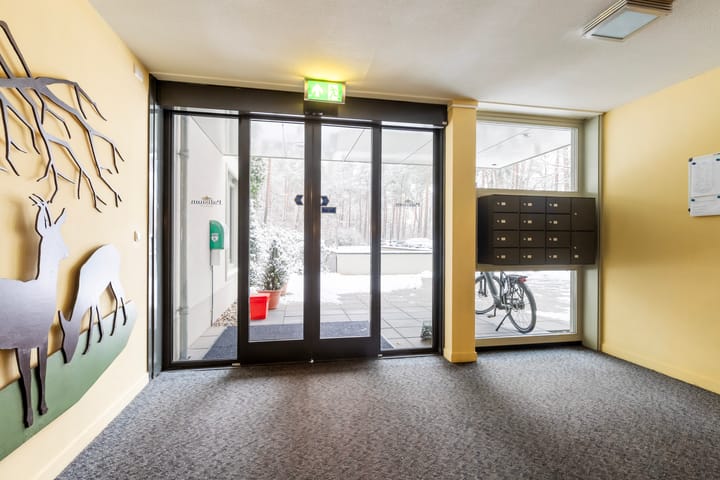 Photo 8 of Palisiumpark 8