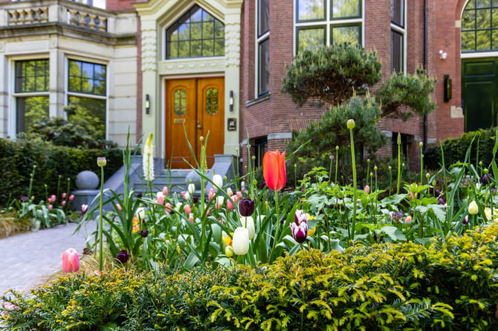 Appartement te koop: Parklaan 40A, Rotterdam
