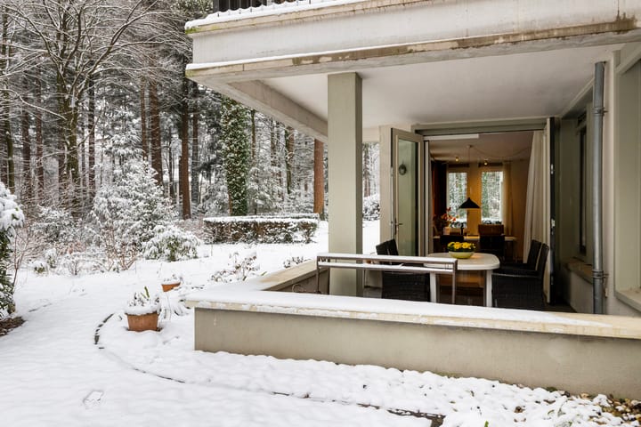 Photo 32 of Palisiumpark 8