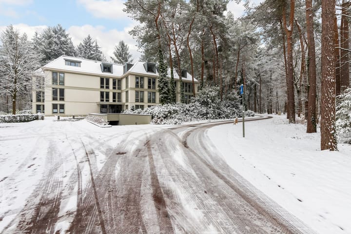 Photo 6 of Palisiumpark 8