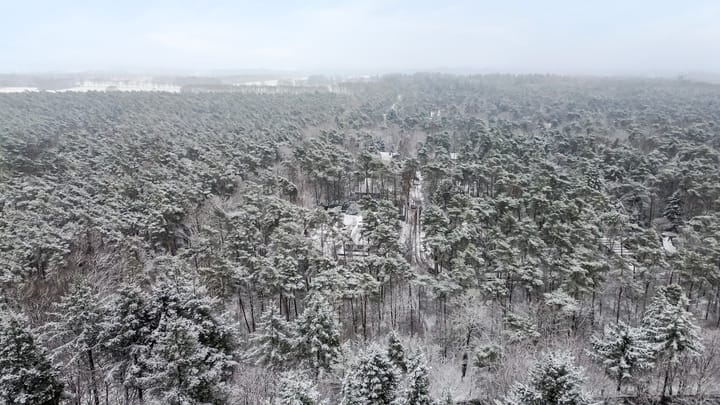 Photo 39 of Palisiumpark 8