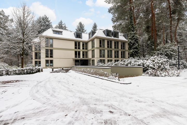 Photo 7 of Palisiumpark 8