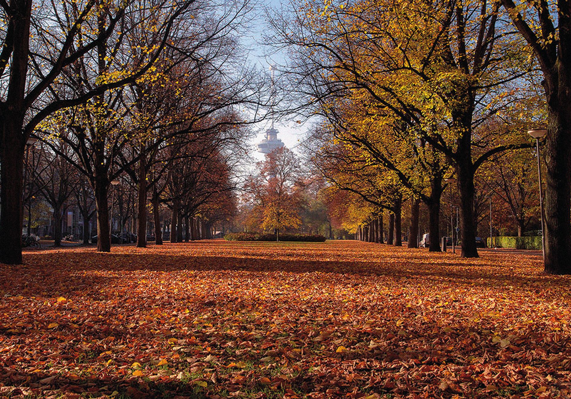 Photo 60 of Parklaan 40-A