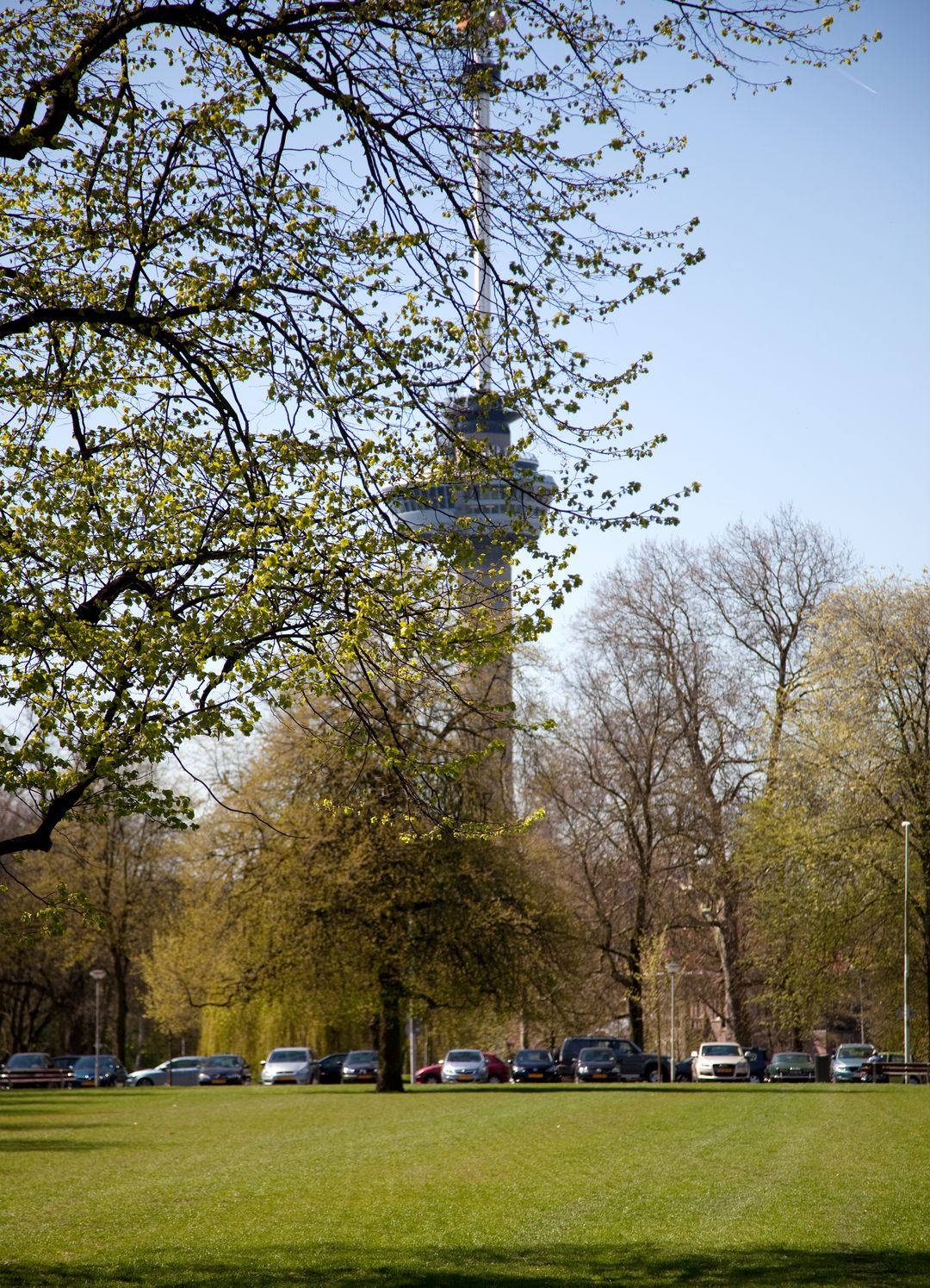 Photo 62 of Parklaan 40-A