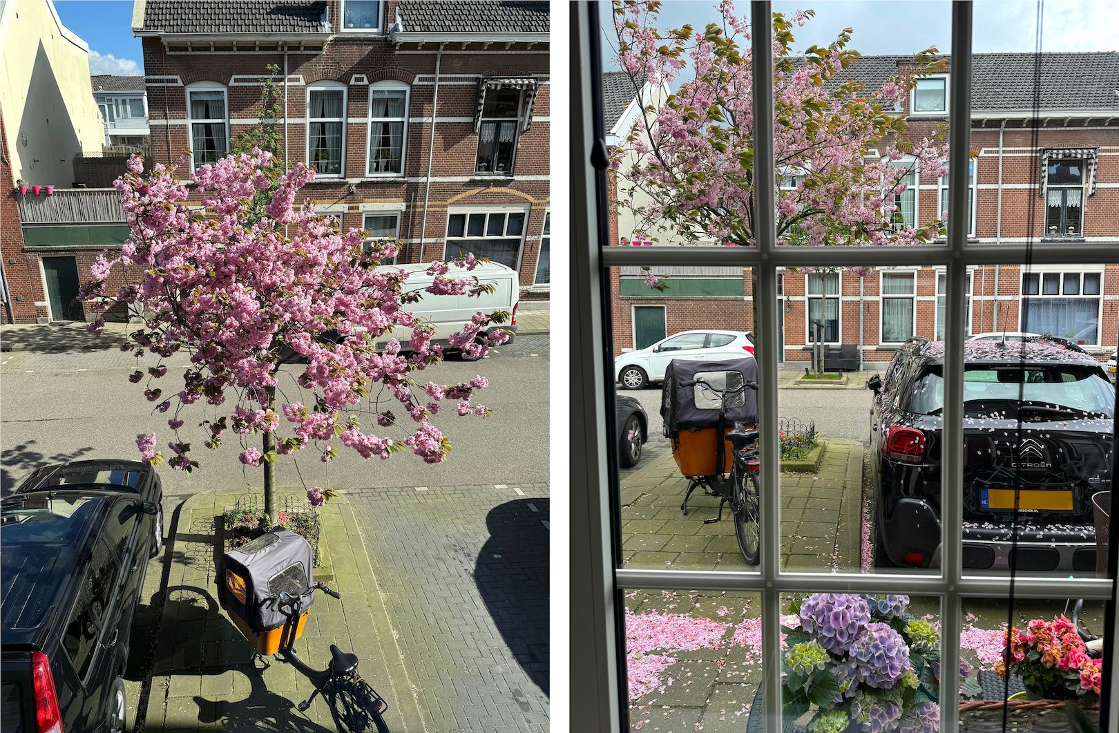 Foto 42 van Nieuwe Maasstraat 20