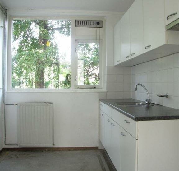 Foto 5 van Lavendelzoom 40