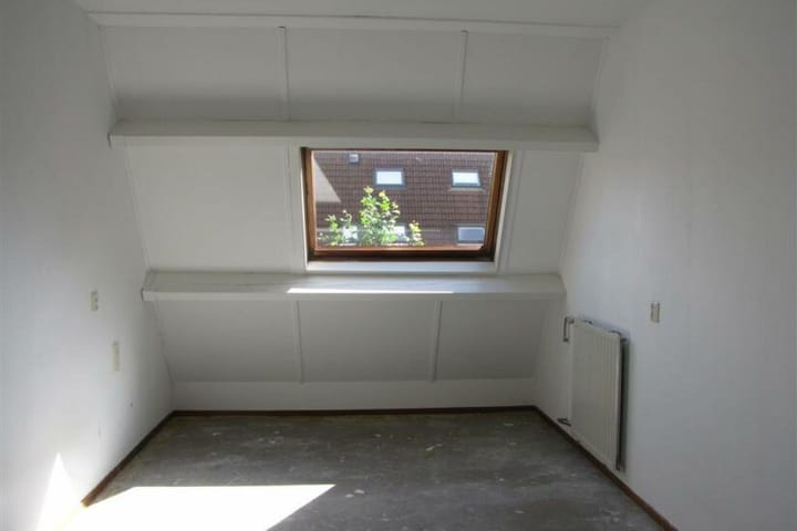 Foto 9 van Lavendelzoom 40