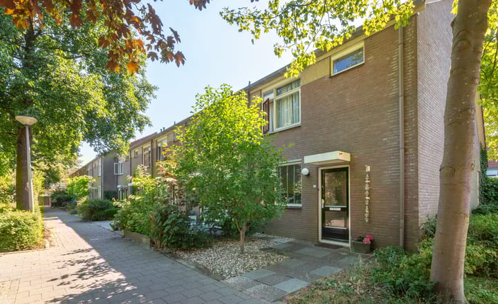 Foto 11 van Lavendelzoom 40