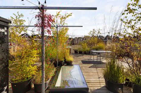 Herman Costerstraat 26 tertiary image