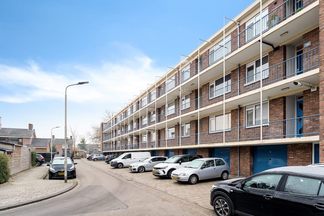 Foto 8 van Dr. J. W. Paltelaan 126