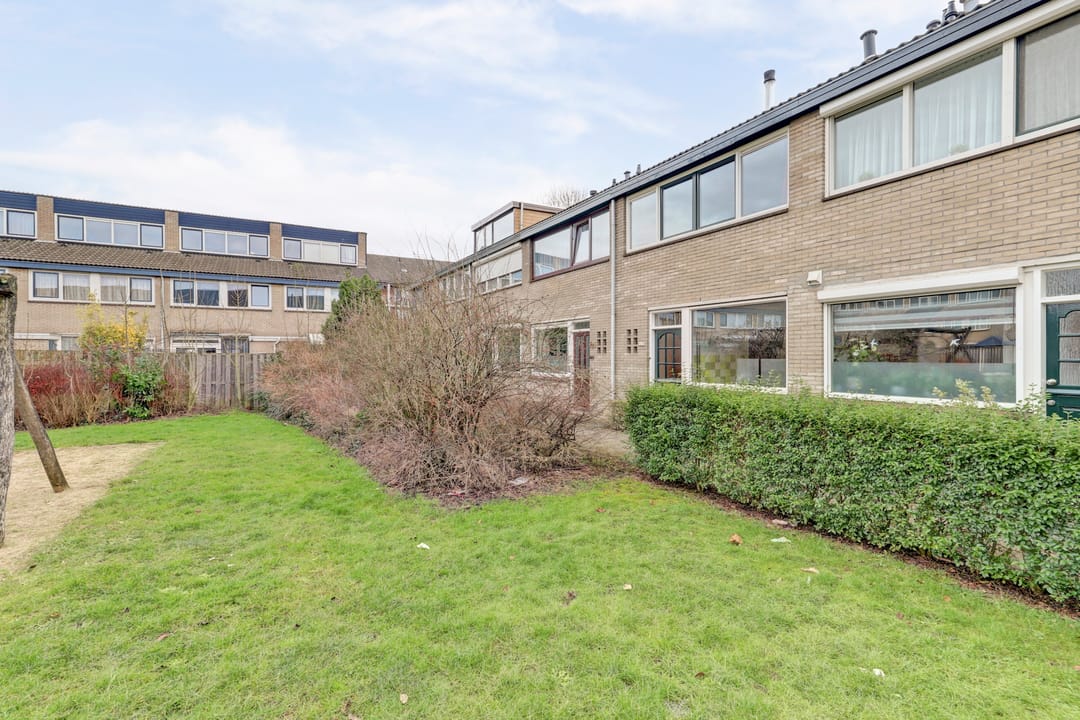 Foto 8 van Halve Morgen 119