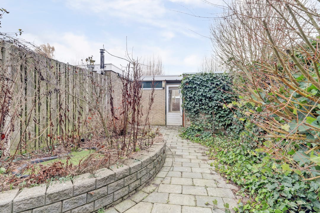 Foto 46 van Halve Morgen 119