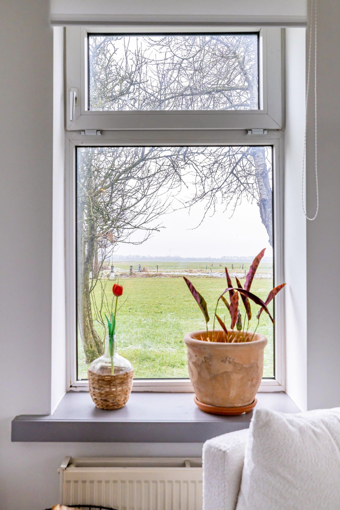 Foto 14 van Wierhuizerweg 2