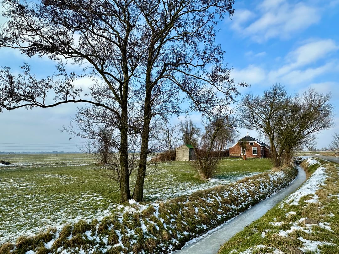 Foto 46 van Wierhuizerweg 2