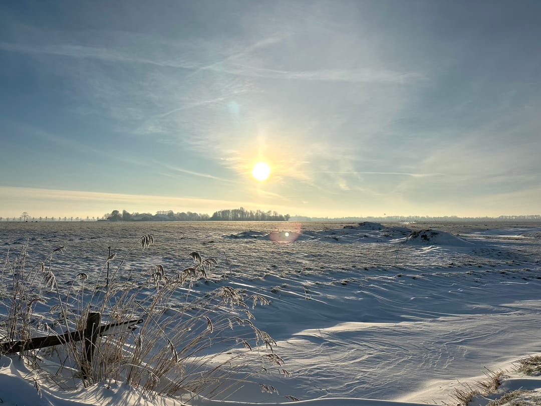 Foto 47 van Wierhuizerweg 2