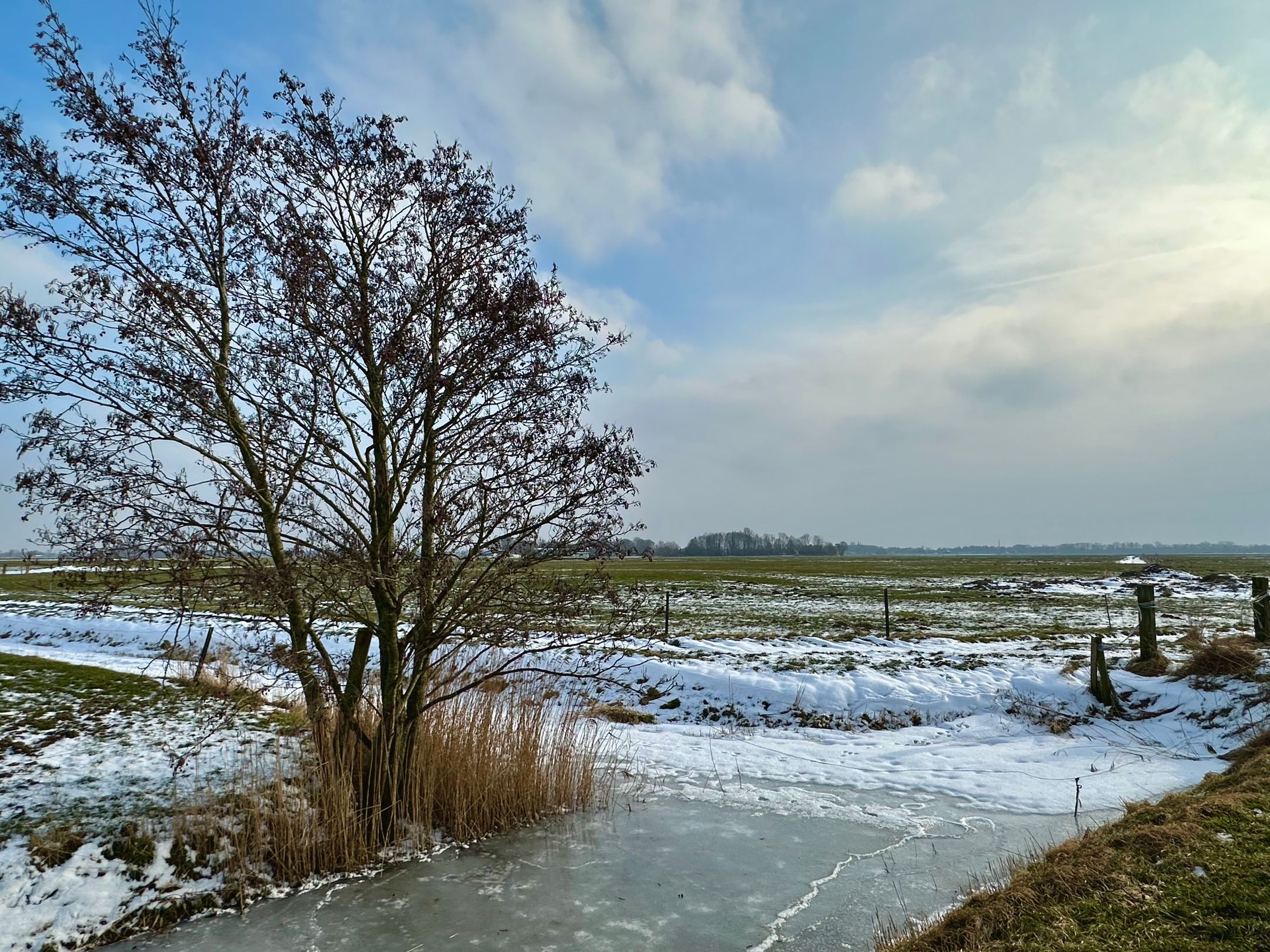 Foto 48 van Wierhuizerweg 2