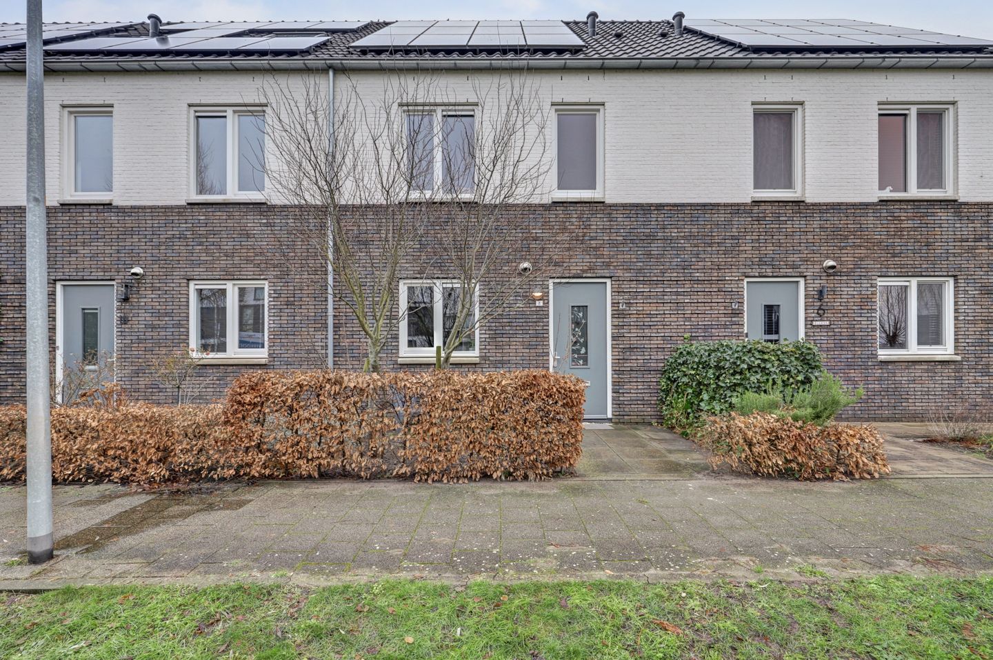 Photo 40 of De Vriendschap 8