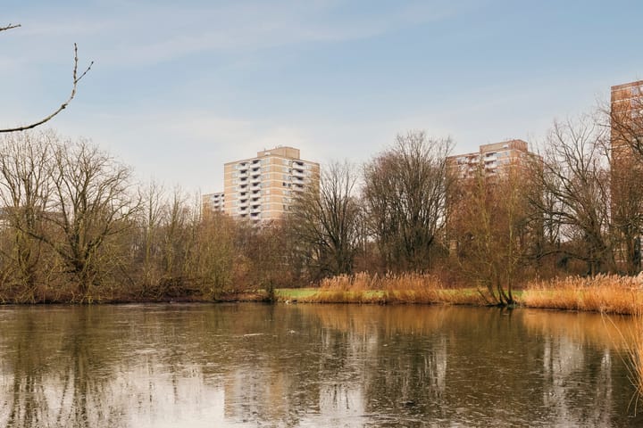 Foto 39 van Nachtwachtlaan 358