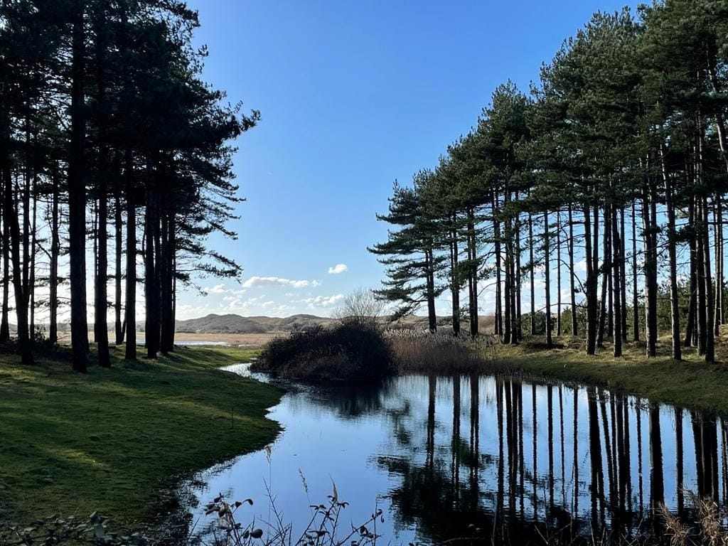 Foto 31 van Zwanenlaan 11