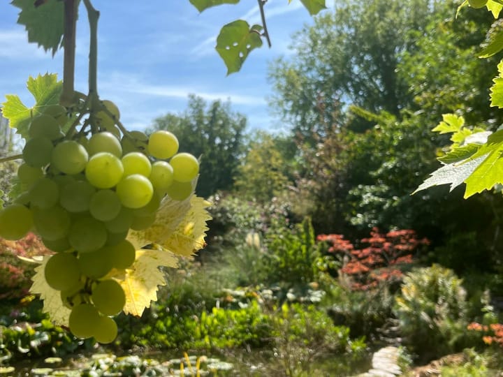 Photo 22 of Zwanenlaan